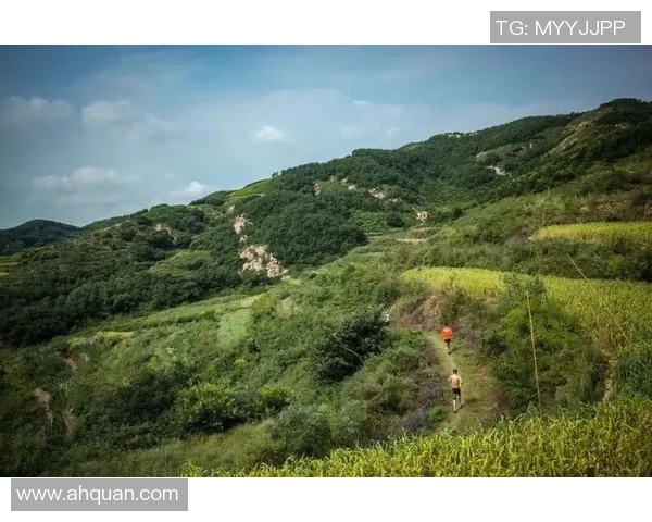 杭州马拉松大满贯评析:极限运动队展现非凡力量与团队精神 杭州马拉松大满贯评析:极限运动队展现非凡力量与团队精神