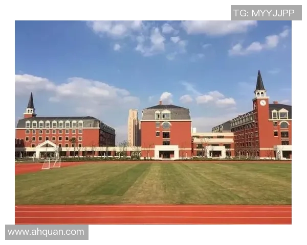 杭州排球队防守革新全景解析提升竞技水平的新策略与实践