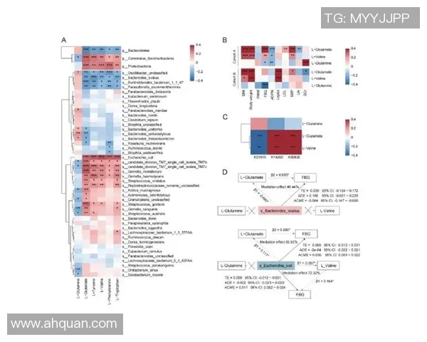 杭州篮球队战术表现深度数据分析与战绩关联研究